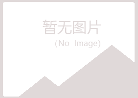 沙坡头区忆山建设有限公司